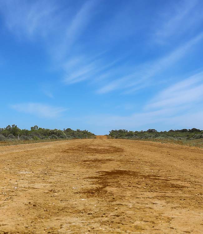 Long Dirt Road With Dry Trees in the Background and a Blue Open Sky